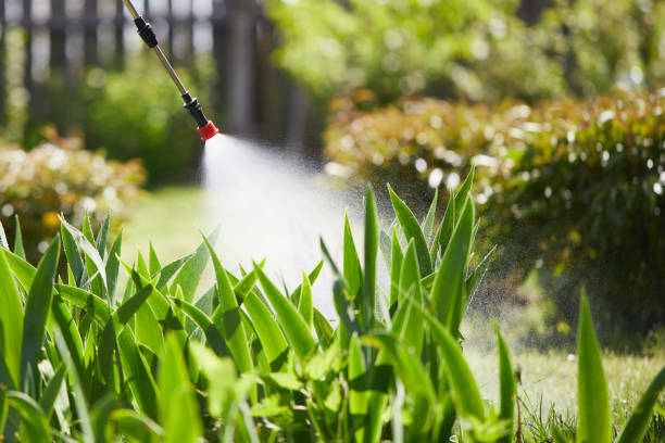 24/7 Emergency Mosquito Control experts in Park Hills, KY